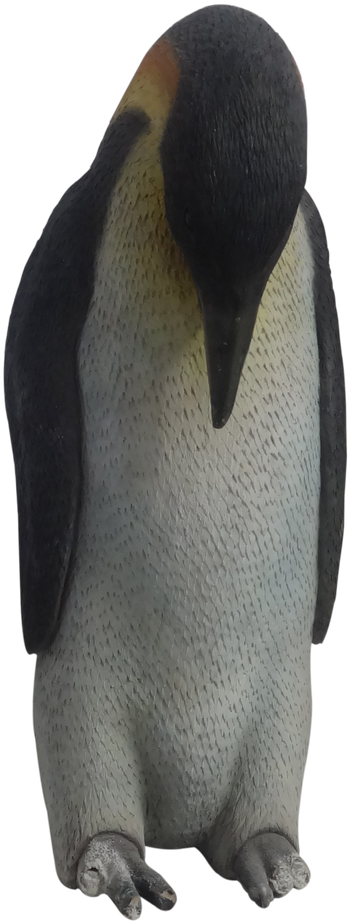 Emperor Penguin (1280x960), Png Download