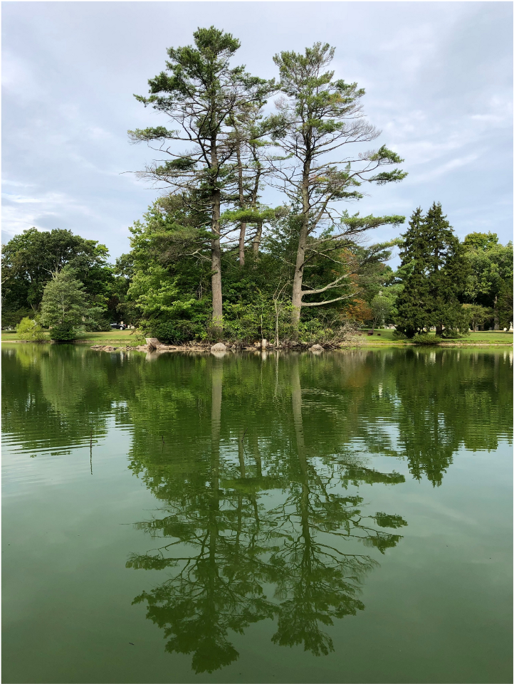 Background Sticker - Reflection (1024x1024), Png Download