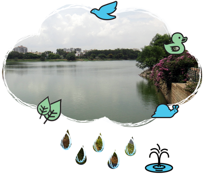 Reflection (700x606), Png Download