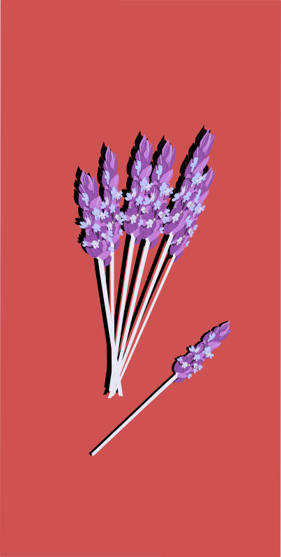 Clipart - Lavender03 - Tulip (403x800), Png Download