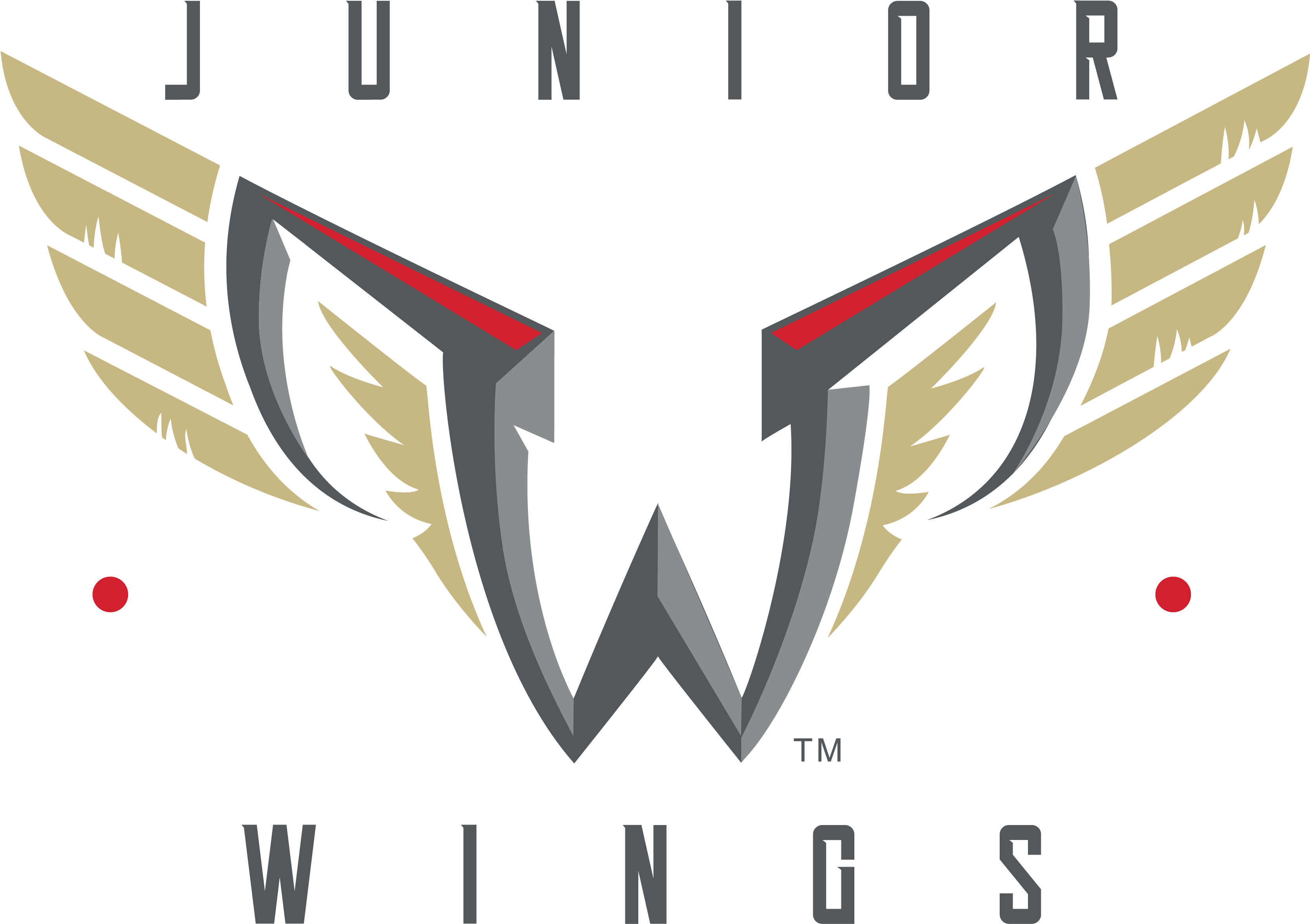 Junior Wings - Philadelphia Wings Logo (3451x3450), Png Download