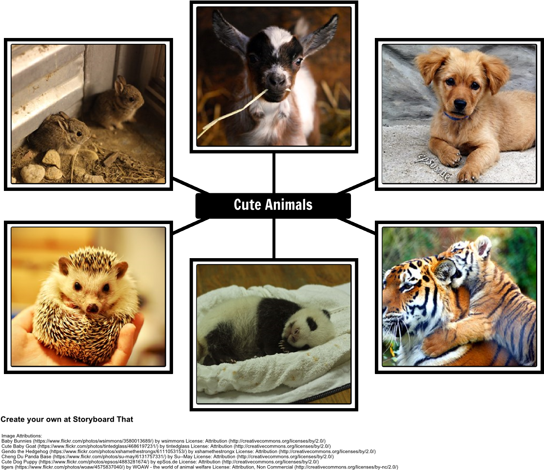 The Cute Animal Spider Chart - Hedge Hogs - Curious Kids Press By Curious Kids Press (1142x994), Png Download