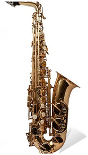 Photograph (400x400), Png Download