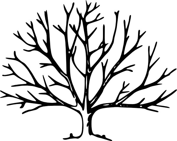 Bare Tree Png - Tree Vector Free (600x477), Png Download