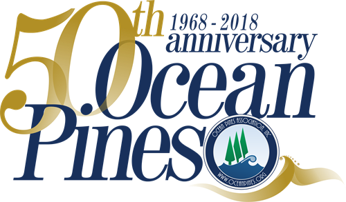 Ocean Pines 50th Anniversary Winter Ball (500x293), Png Download
