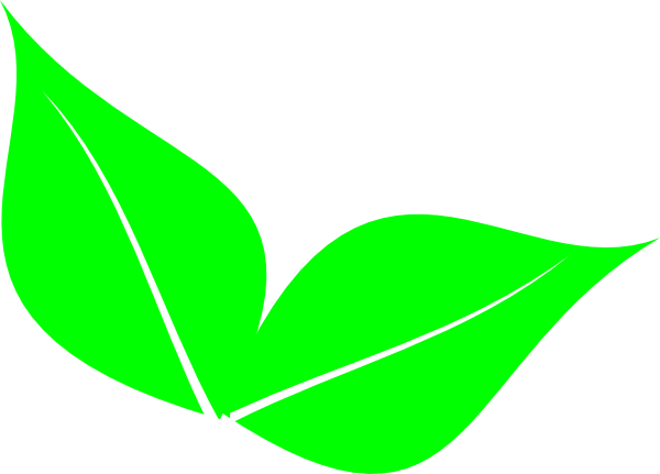 Two Leaves Clip Art At - Leaves Clipart Png (600x431), Png Download