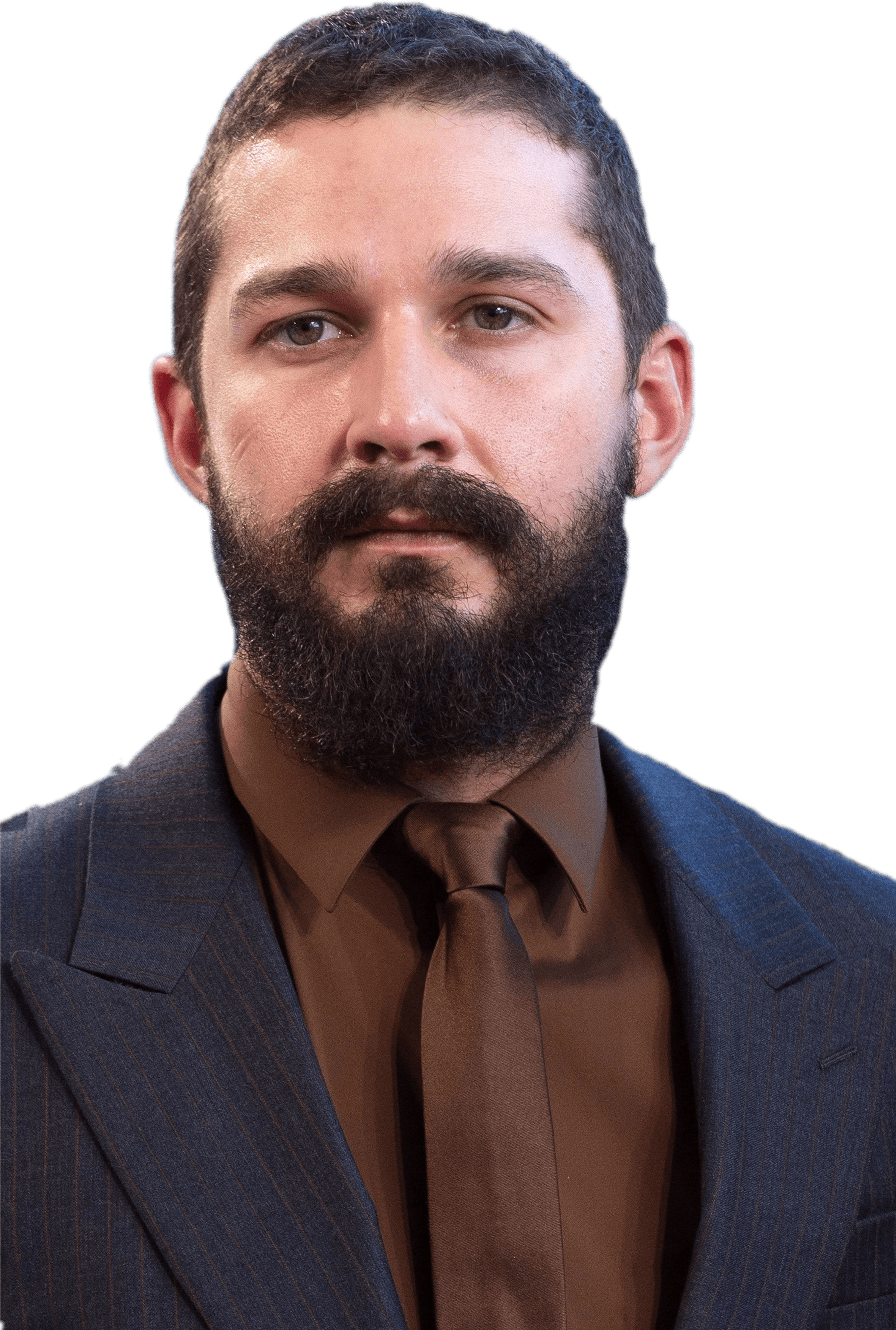 Shia Labeouf Portrait (2342x3513), Png Download