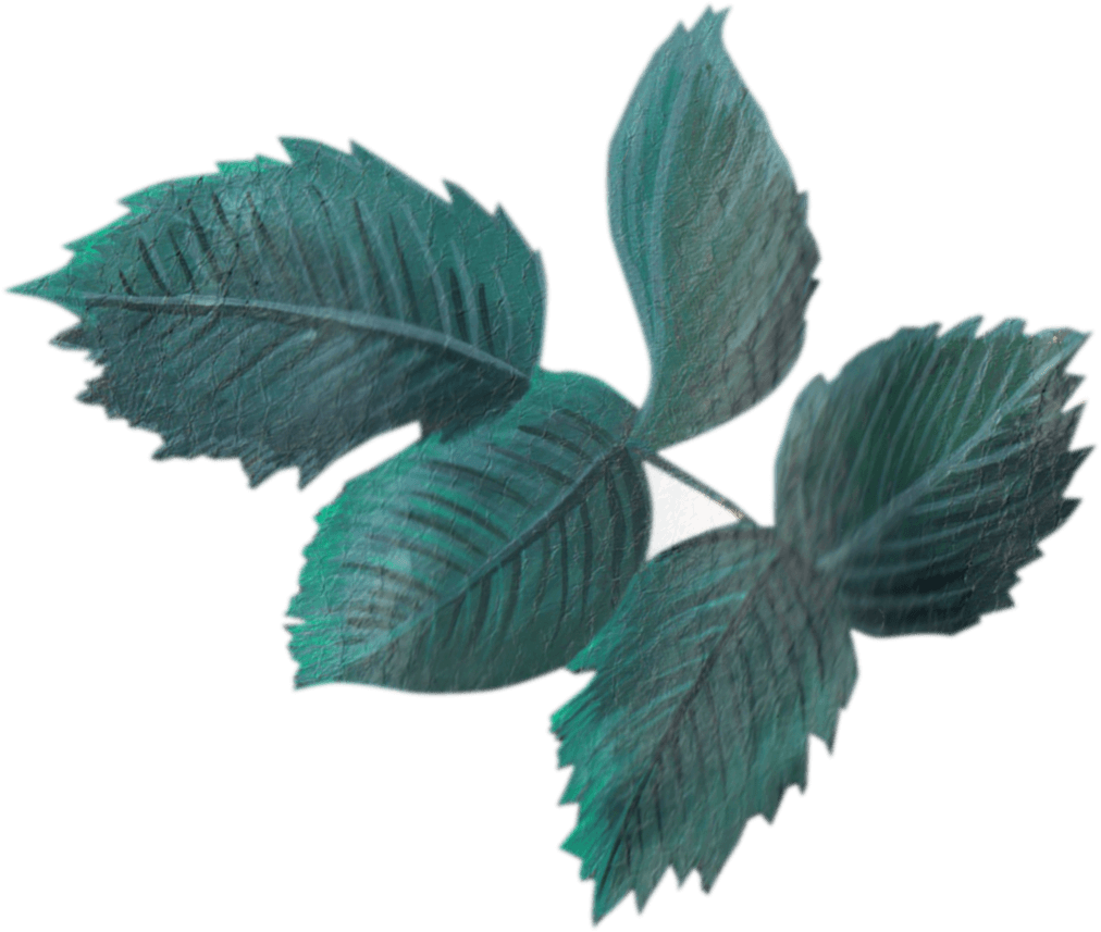 Dustcloud Studio - Vintage Leaf Transparent (1012x857), Png Download