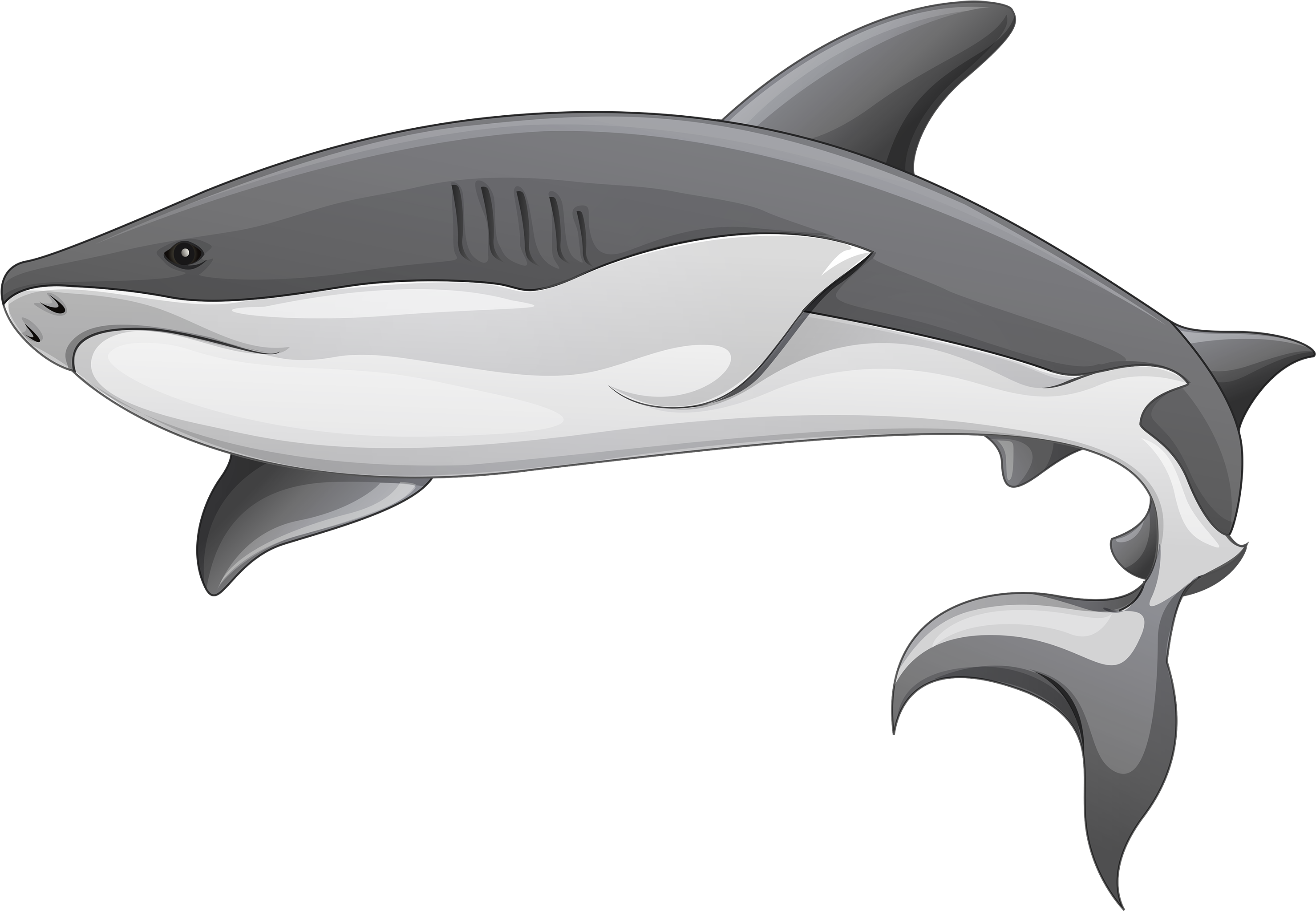 Free Whale Clipart Black And White - Shark Clipart Transparent Background (3000x2115), Png Download
