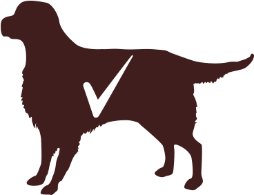 Search For - - Dog (500x500), Png Download