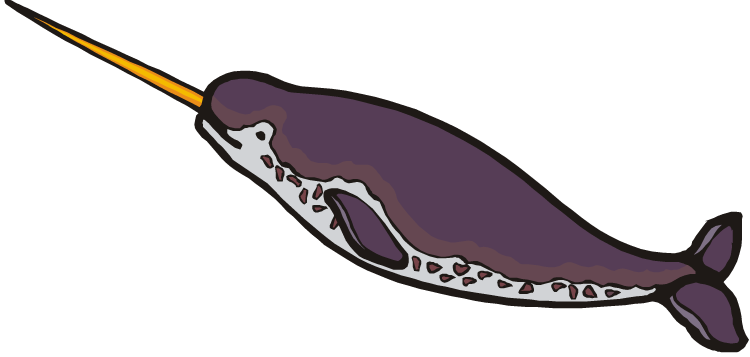 Free Narwhal Clipart - Narwhal Clip Art (750x357), Png Download