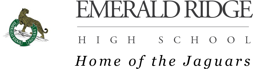 School Logo - Emerald Ridge High School Logo (913x316), Png Download
