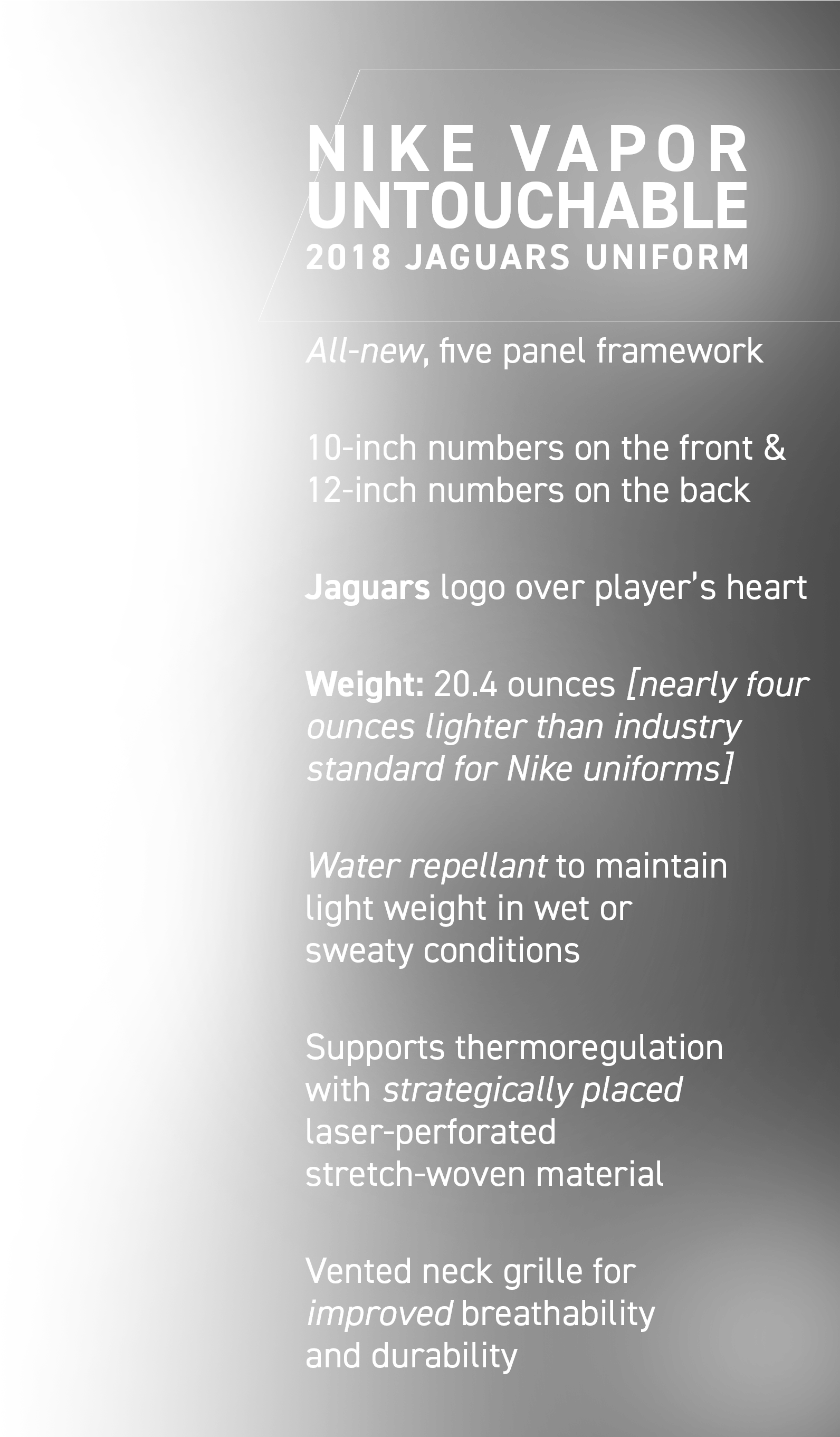 Jaguars Account Manager - Document (2855x2722), Png Download