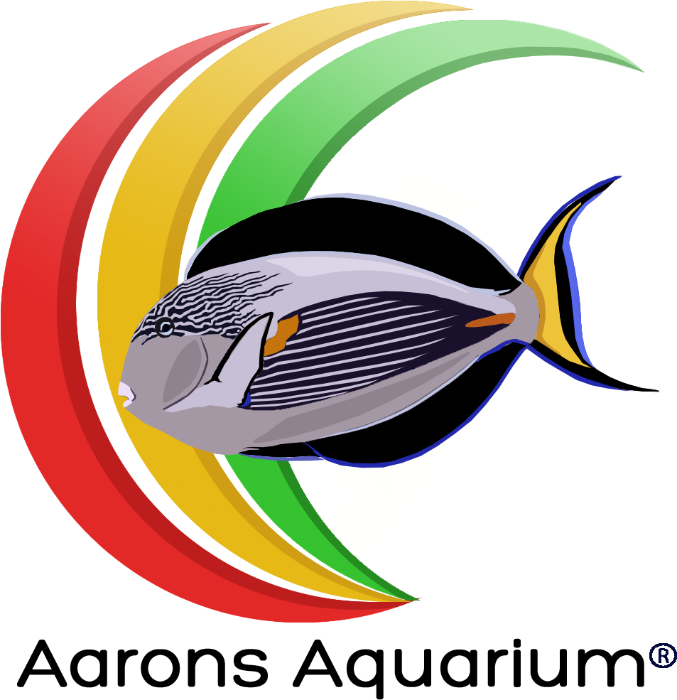 Aquarium Png - Graphic Design (1080x1080), Png Download