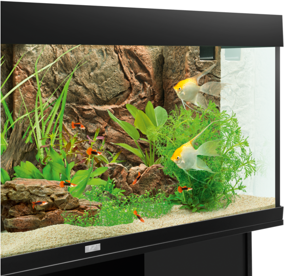 01 Details - Juwel Terrace Cliff Dark (588x588), Png Download