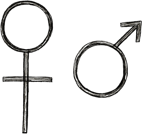 Female Male Symbols - Circle (730x487), Png Download