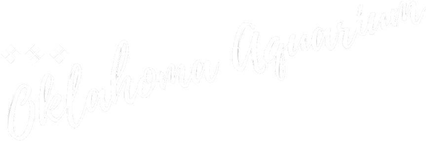 Explore Tulsa Near The Campbell Luxury Hotel - Calligraphy (1000x360), Png Download