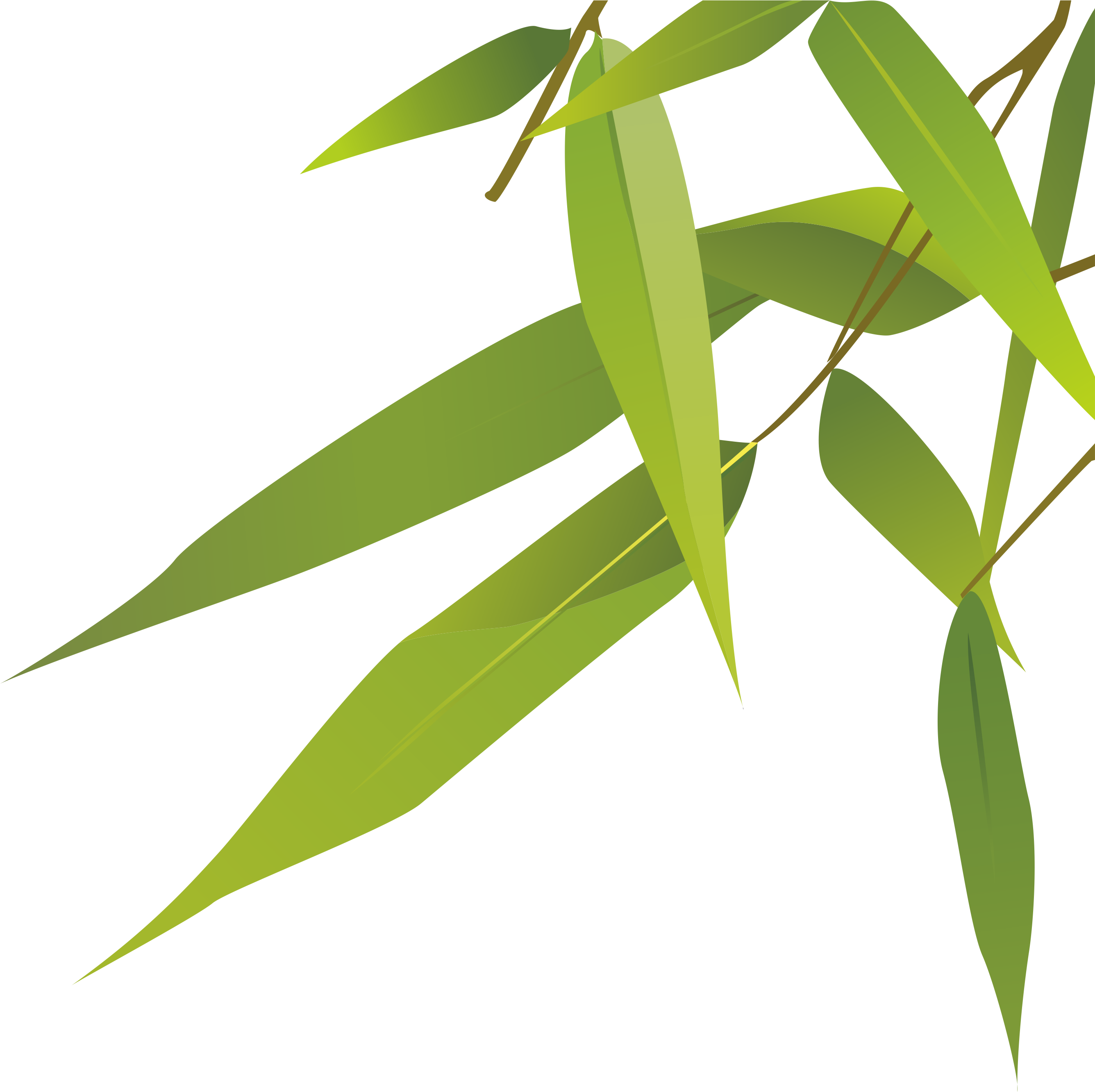 Botanical Vector Plant - Epidendrum (2672x2665), Png Download