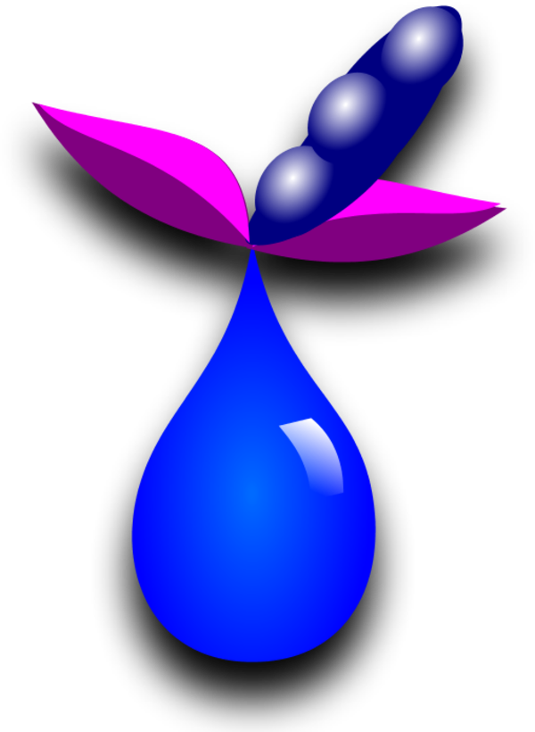 Drop Liquid Plant (600x820), Png Download