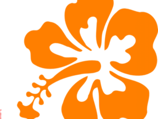Hibiscus Clipart Coral - Orange Hawaiian Flower Clipart (640x480), Png Download