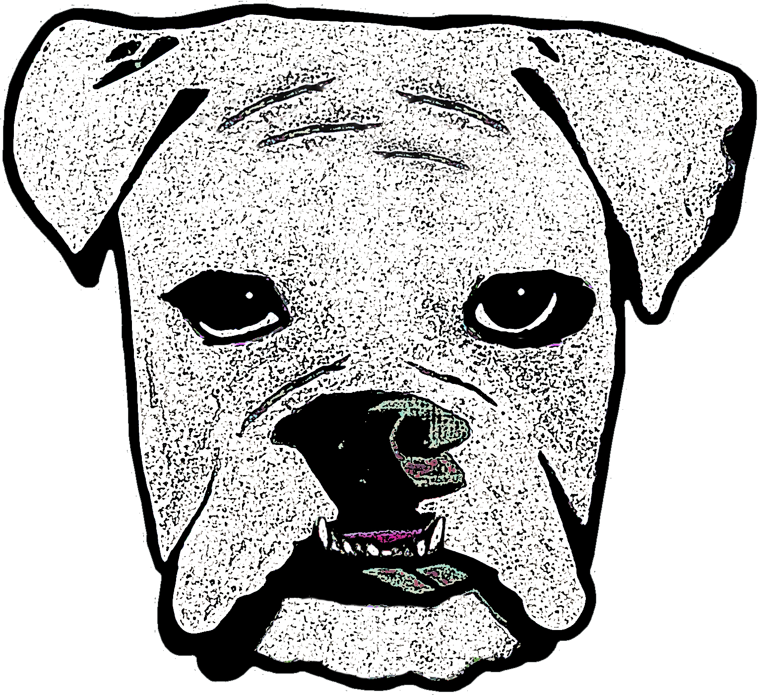 Boxer (1581x1548), Png Download