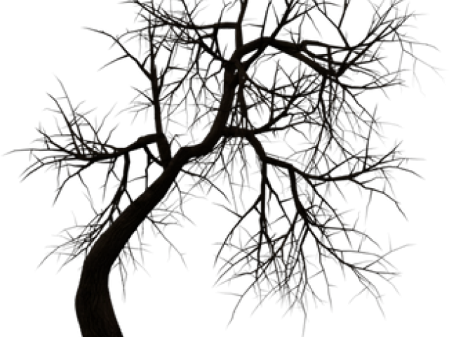 Dead Tree Clipart Noose Silhouette - Transparent Haunted House Png (640x480), Png Download