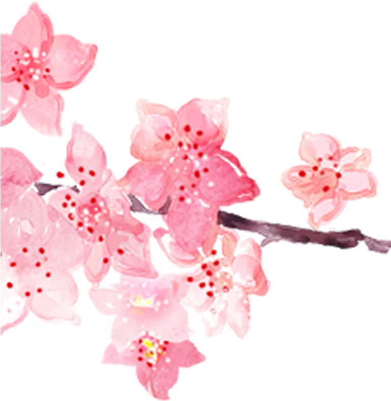 Pink Watercolor Painting Hand Painted Handpainted Blossoms - Watercolor Painting (800x800), Png Download
