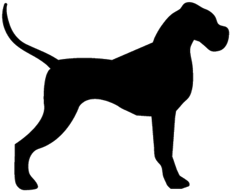 Pintura Para Pet Shop (800x800), Png Download