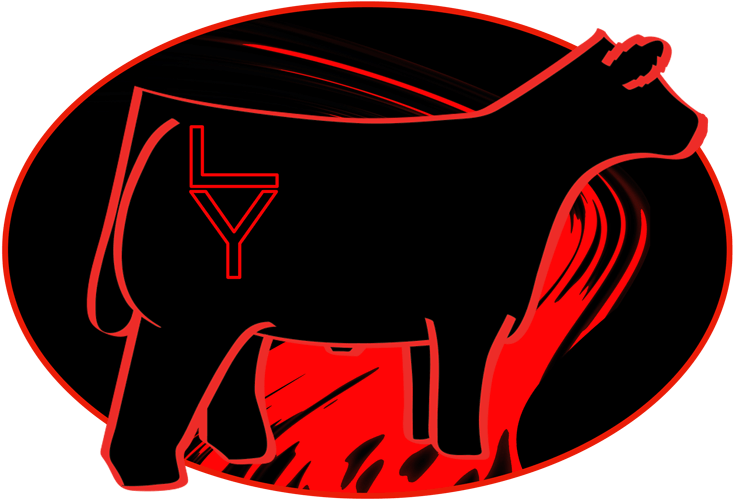 Image - Illustration (800x533), Png Download