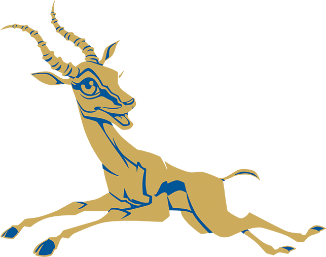 Animal Figure (1024x576), Png Download