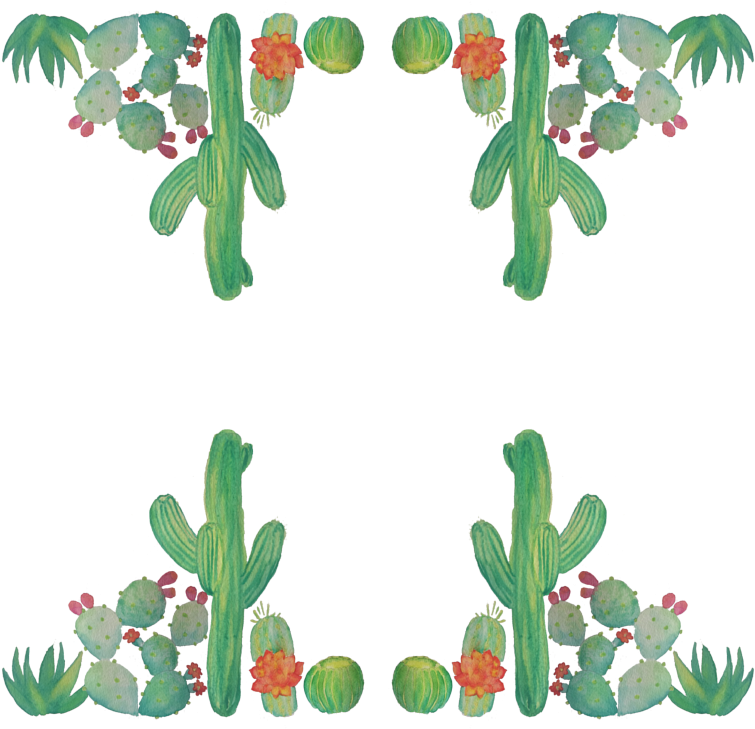 Barbary Fig (800x800), Png Download