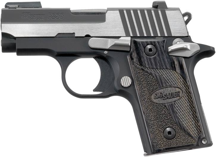 Sig Sauer P238 380 Acp - Sig Sauer P238 Equinox (746x550), Png Download