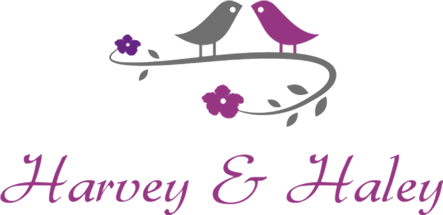 Bridesmaids (990x606), Png Download