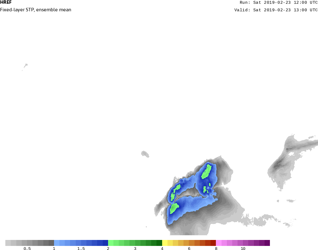 Stp Logo Png (1050x812), Png Download