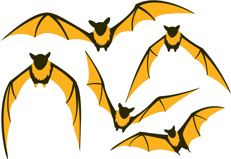 Bat Clipart Large - Flying Fox Clipart (800x800), Png Download