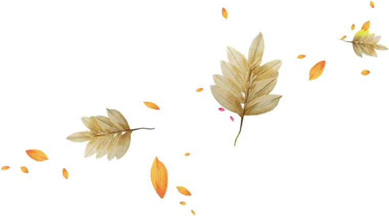 Autumn Light Leaves Leaf Download Hq Png Clipart - Son Bahar Yaprakları Png (800x489), Png Download