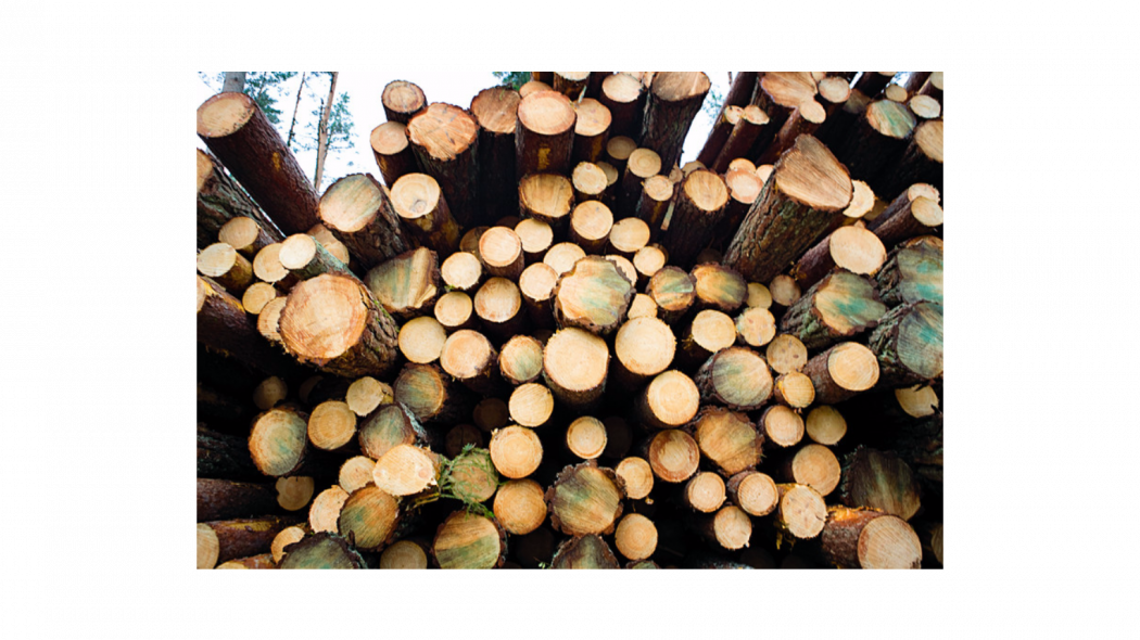 Photo - Upm - Lumber (1050x590), Png Download