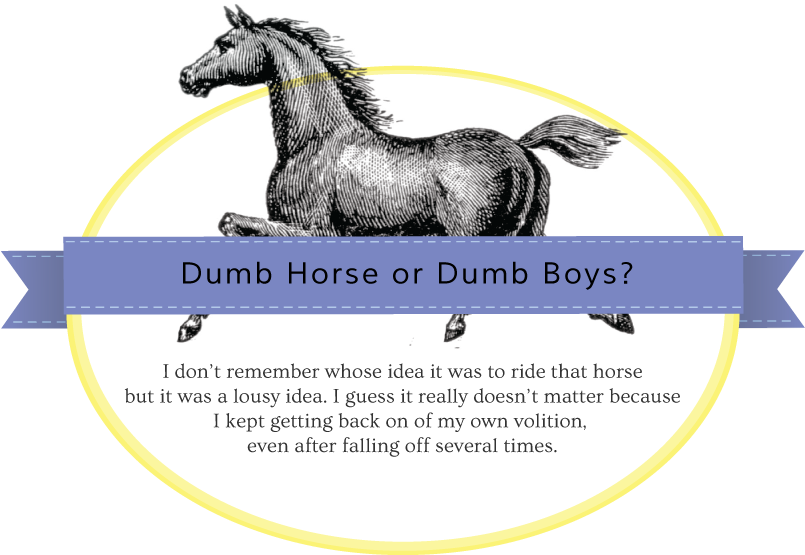 Dumb Horse Or Dumb Boys - Mane (817x554), Png Download