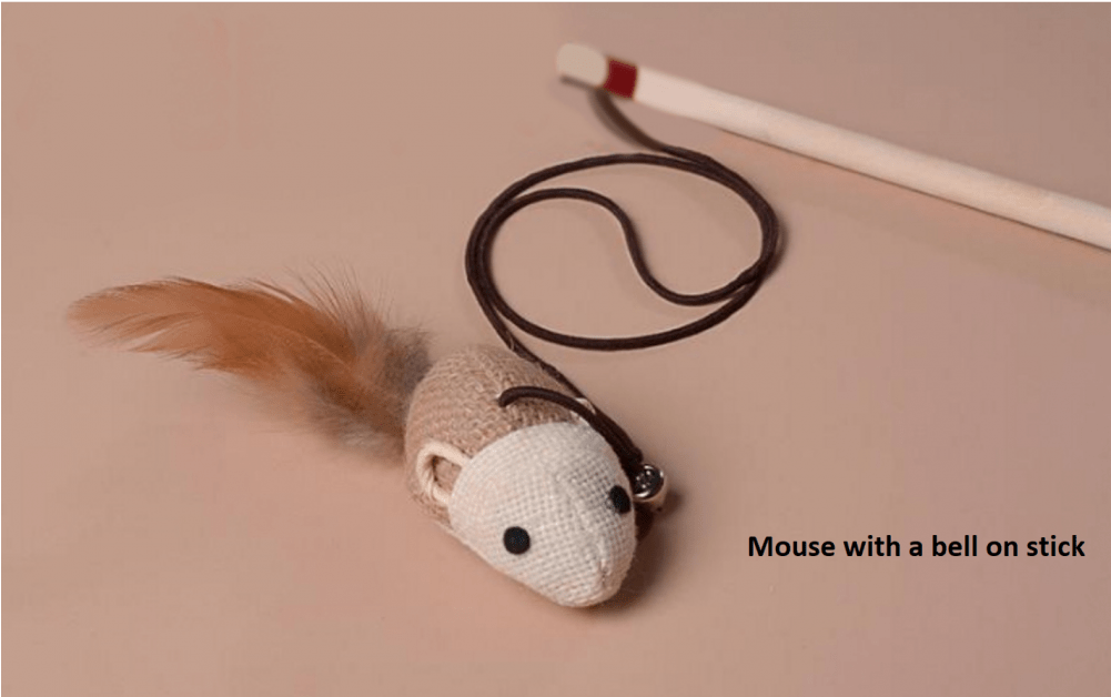 Variety Interactive Pet Toy Cat - Squirrel (1000x1000), Png Download