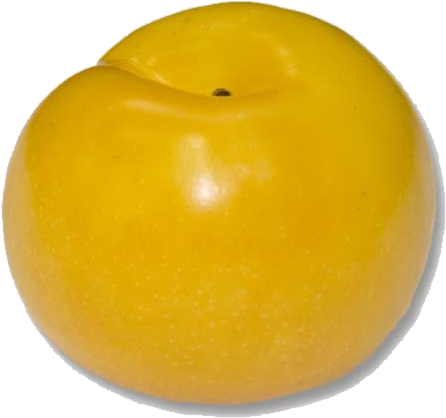 Tcsun - Ciruela Amarilla Png (700x700), Png Download