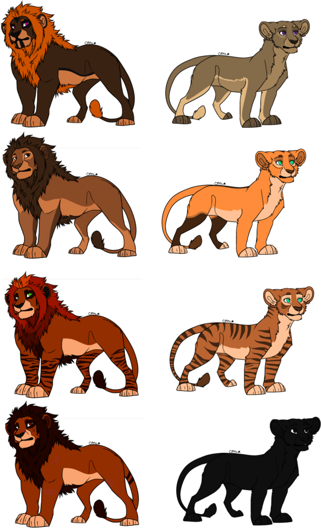 The King And Queen Have Returned - Masai Lion (755x1057), Png Download