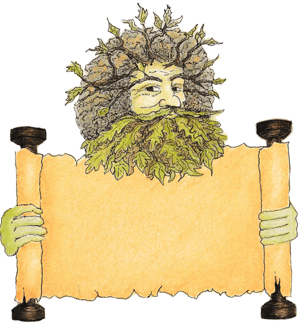 Illustration (600x650), Png Download