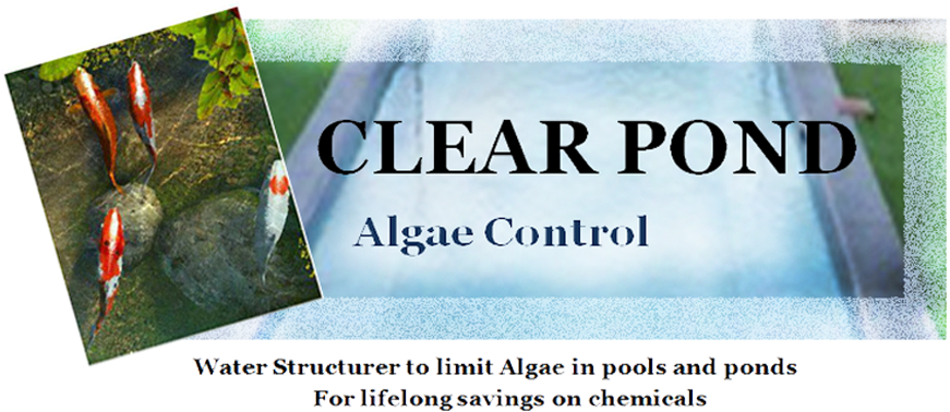 Clear Pond - Grass (970x588), Png Download