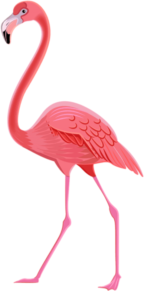 Free Png Download Flamingo Png Images Background Png - Transparent Flamingo Flamingo Png (481x977), Png Download