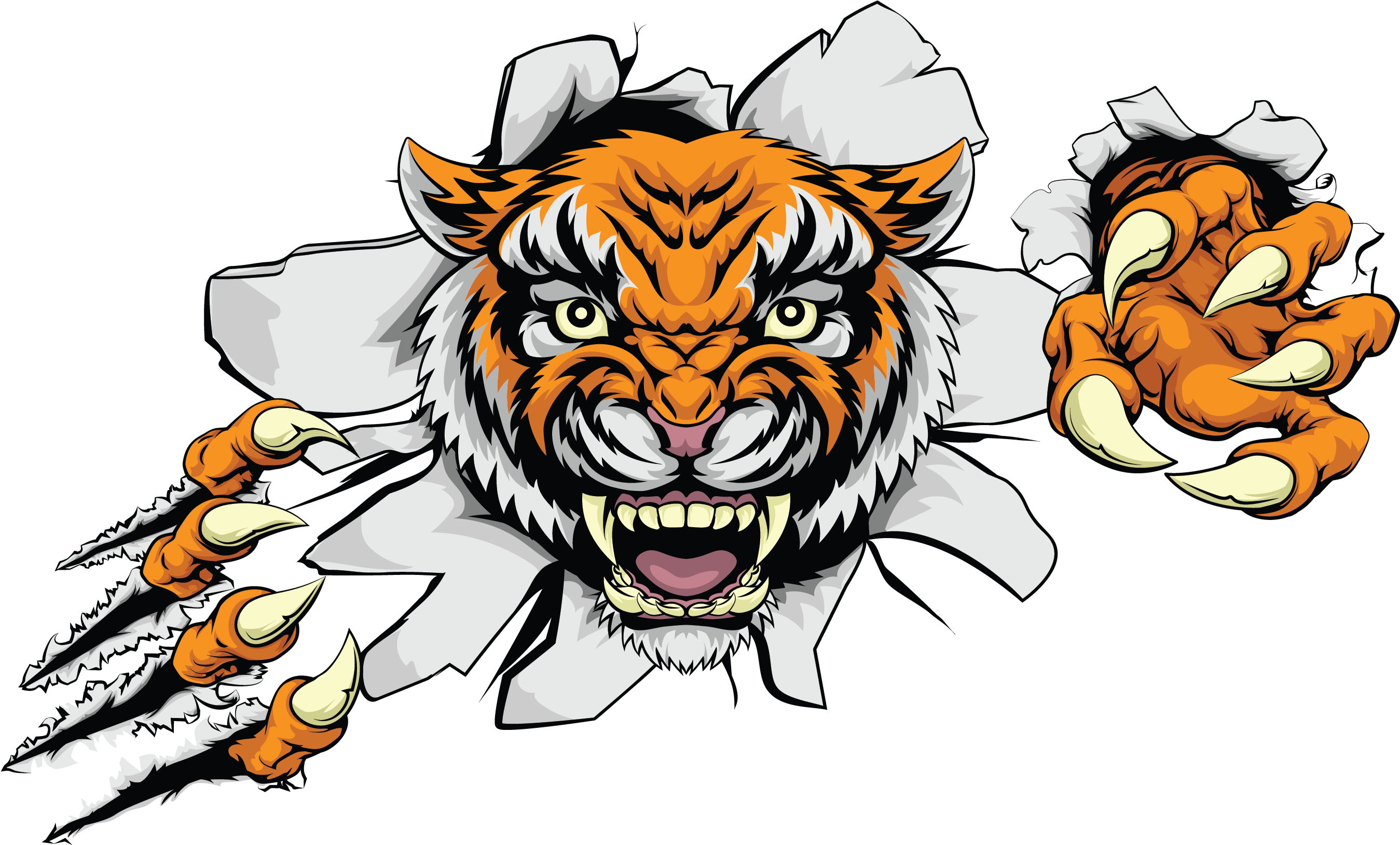 Ferocious Clipart Indian Tiger - Non Copyright Images Of Tiger Feet .png (2929x2330), Png Download