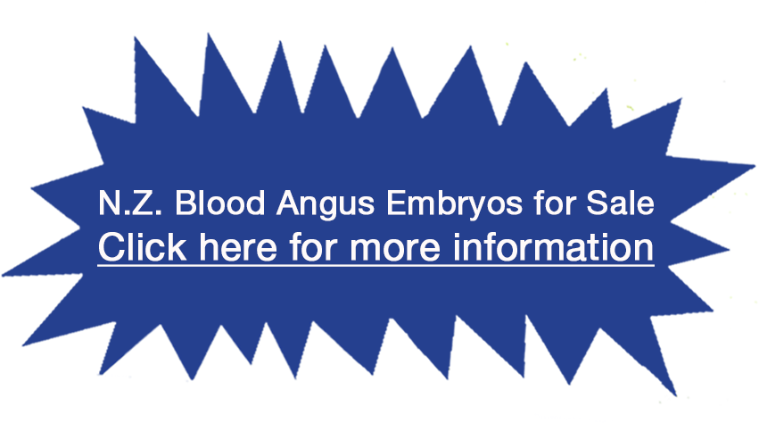 Leighwood Grange Johno J65 The Real Deal - Graphic Design (854x500), Png Download