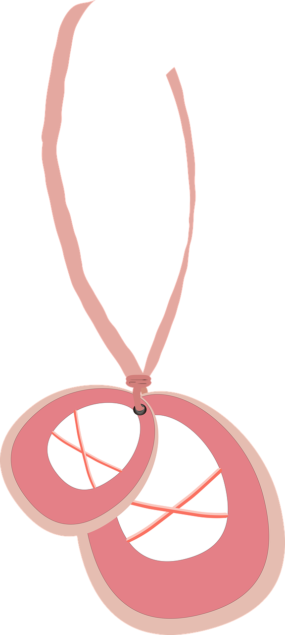 Ballet Shoes Dance - Pendant (576x1280), Png Download