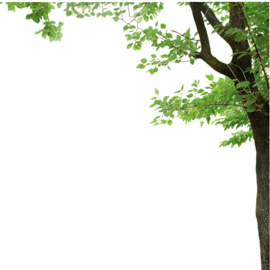 Ftestickers Sticker - Tree Leaves Borders Transparent (1024x1024), Png Download