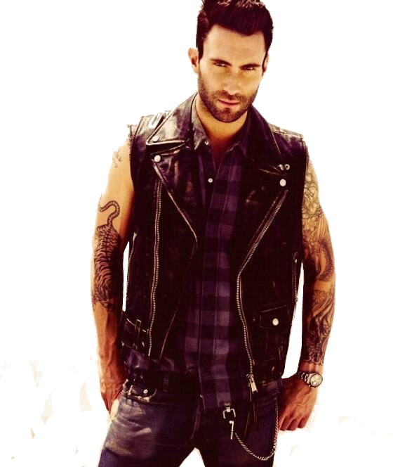 Adam Levine Adam Levine Hot Sexy Love Maroon - Adam Levine Gay (560x664), Png Download