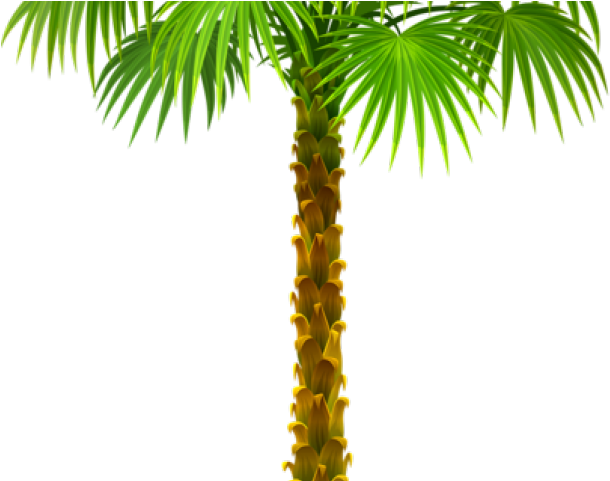 Vector (640x480), Png Download